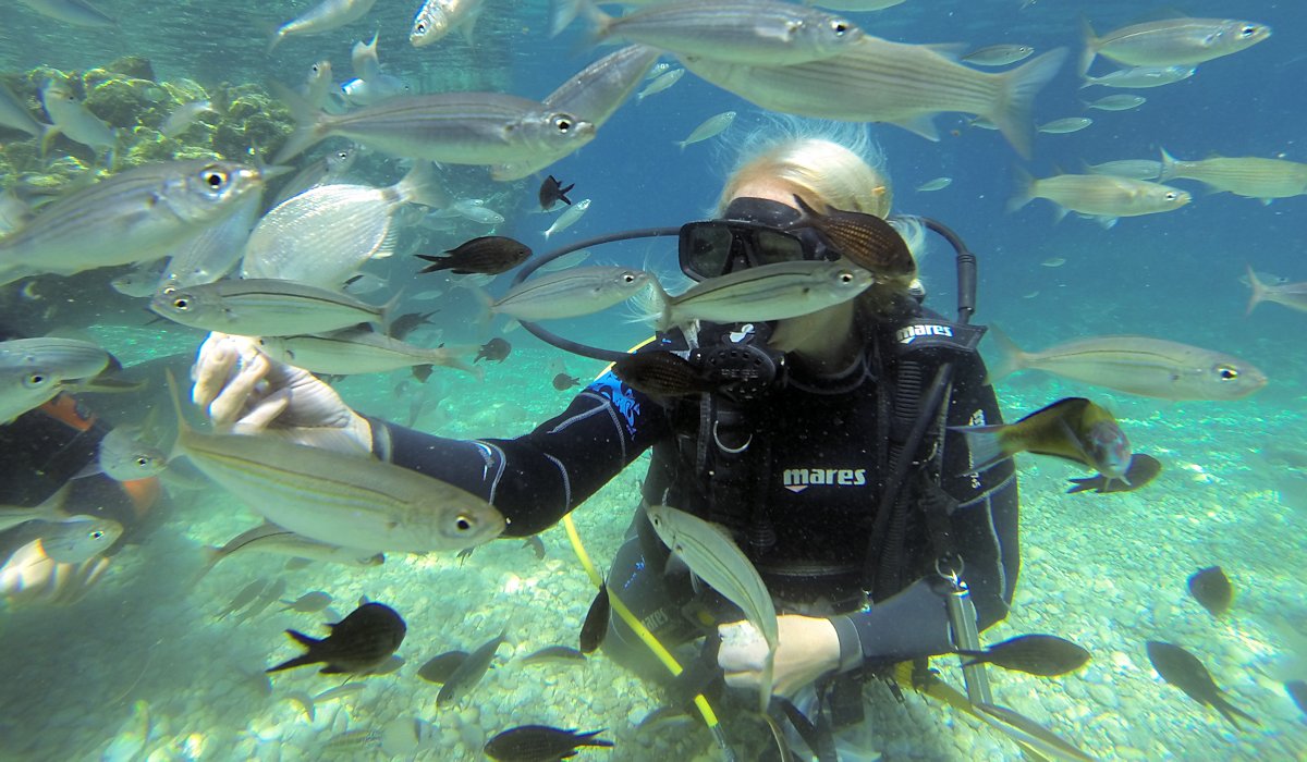 Bodrum Scuba Diving - 2