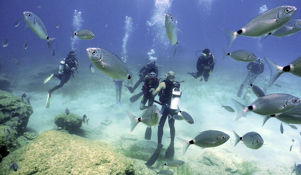 Bodrum Scuba Diving - 3