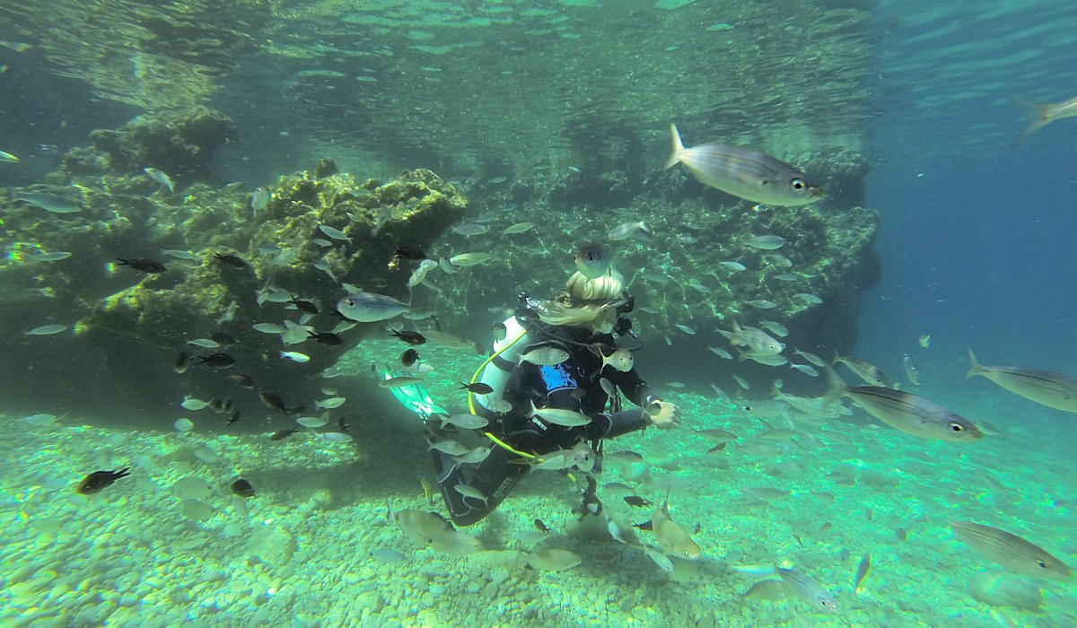 Bodrum Scuba Diving - 4