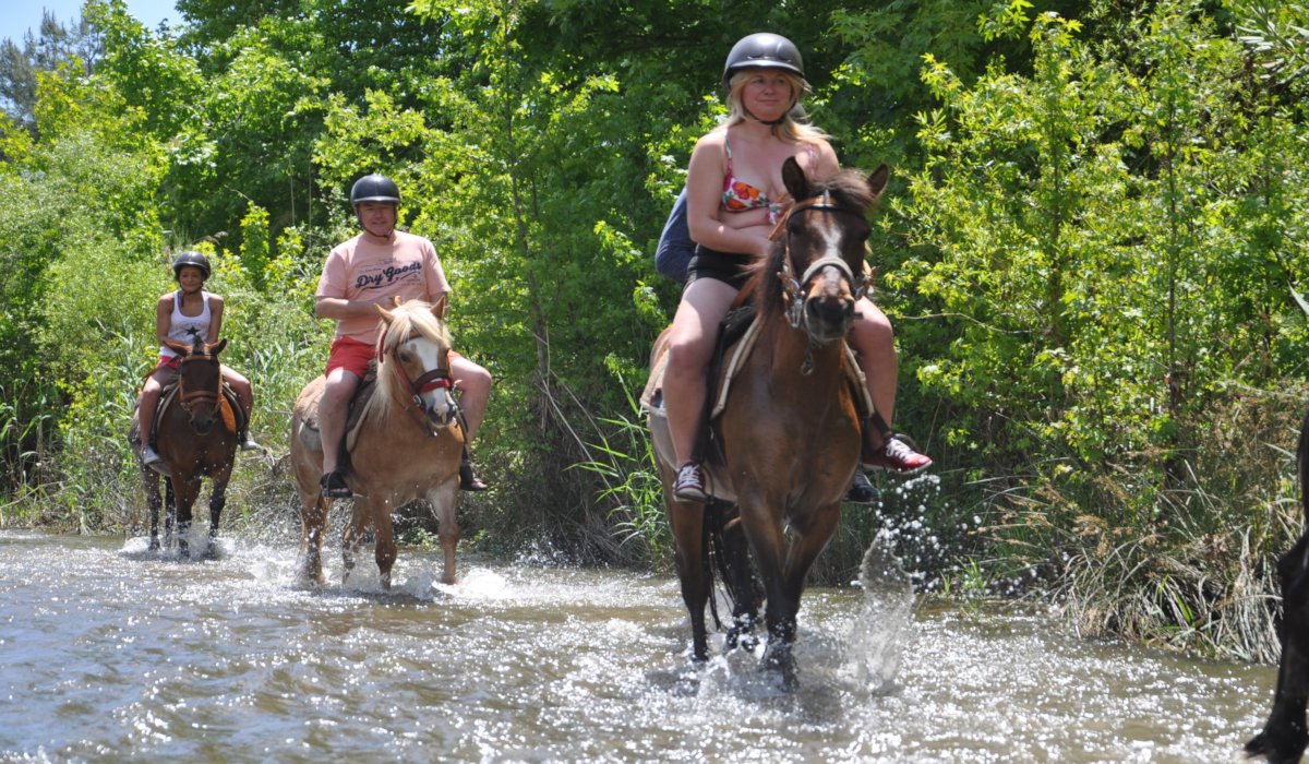 Bodrum Horse Safari - 3
